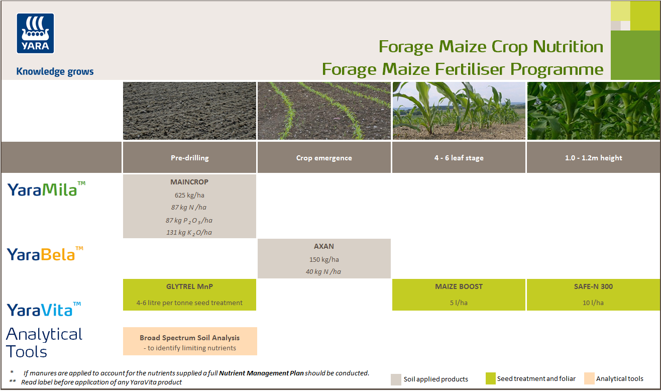 Forage maize fertiliser programme