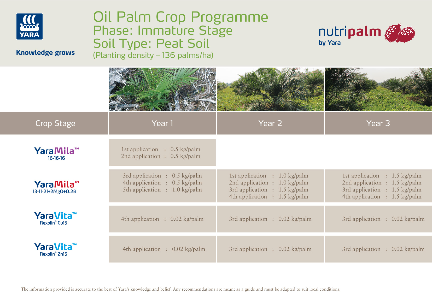 Oil Palm pre nursery